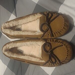 Ugg womans chestnut Dakota slippers